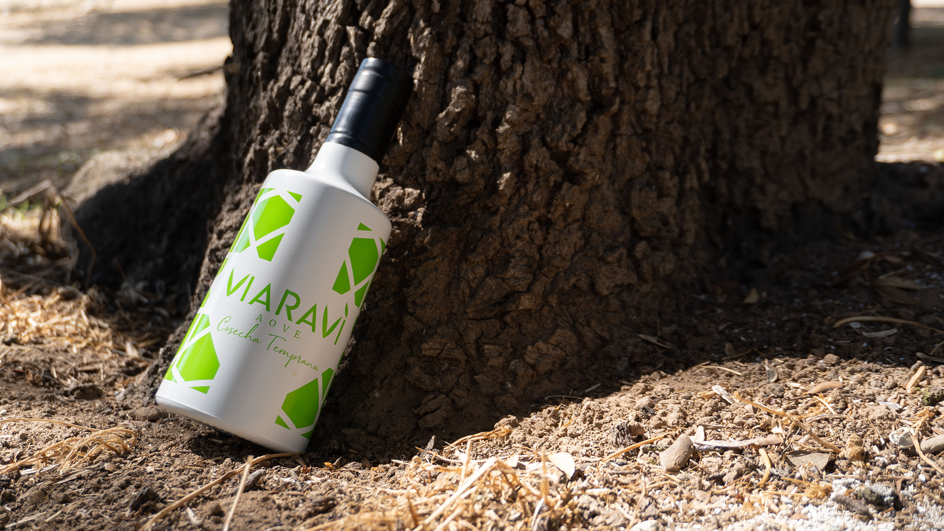 Aceite de oliva virgen extra Viaraví cosecha temprana en botella blanca y verde apoyada sobre un olivo, fotografía de producto.