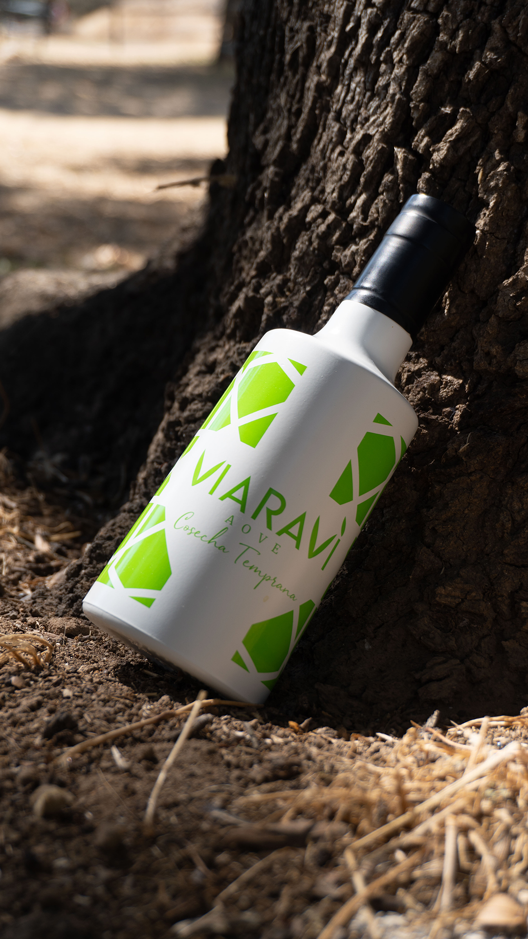 Aceite de oliva virgen extra Viaraví cosecha temprana en botella blanca y verde apoyada sobre un olivo, fotografía de producto